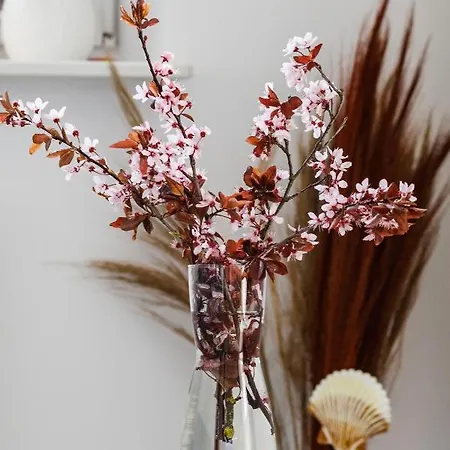 Sea Kropli Baltyku With Terrace By Renters Lejlighed